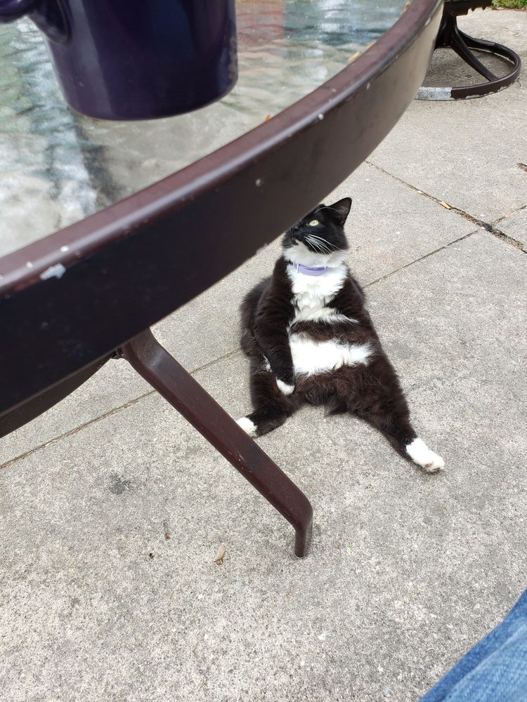 SHOE CITY TAVERN Updated October 2024 24 Intervale St, Brockton, Massachusetts Pizza