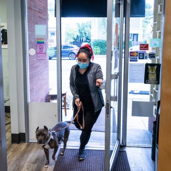 Campus Veterinary Clinic - Time for a check up - Veterinarians Near Me - Berkeley, California Campus Veterinary Clinic - Time for a check up - Veterinarians Near Me - Berkeley, California