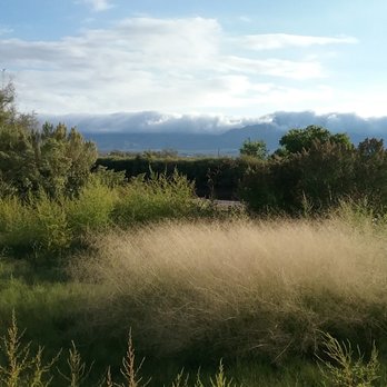 River Park Trail - sacaton grass - Parks Near Me - El Paso, Texas