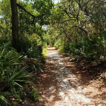 Big Talbot Island State Park - The beginning of the hike to the beach. - Parks Near Me - Jacksonville, Florida Big Talbot Island State Park - The beginning of the hike to the beach. - Parks Near Me - Jacksonville, Florida
