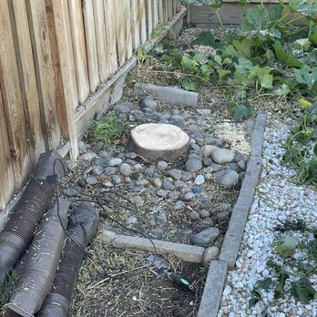 Lu's Professional Tree Care - After removing - Tree Services Near Me