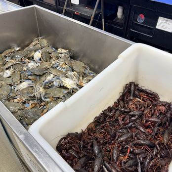 H Mart - Doraville - Crab & crawfish - Grocery Near Me - Doraville, Georgia