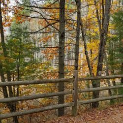 Eastern Trail