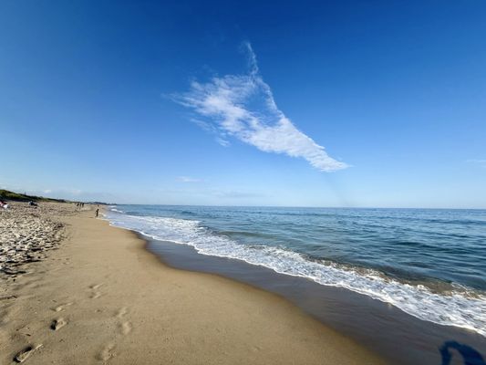 Salisbury Beach State Reservation by null