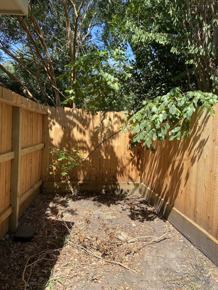 Affordable Tree Service By Martin Spoonemore - tree service in Houston, TX
