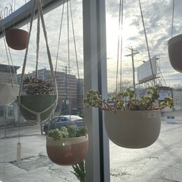 Hanging out with plants Hanging out with plants