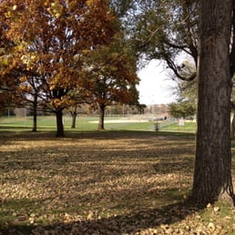 Looking at the basked on hole 9. Looking at the basked on hole 9.