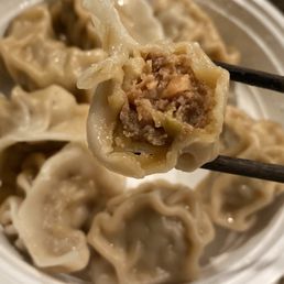 Fried Pork Dumplings