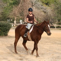 Wildwood Farm & Tack Shop