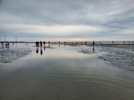 Gaomei Wetlands by null