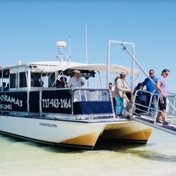 Island Adventure Dolphin Cruise