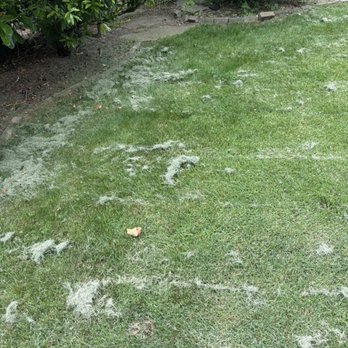 J&N Landscaping Solutions - Grass clippings everywhere - Lawn Services Near Me J&N Landscaping Solutions - Grass clippings everywhere - Lawn Services Near Me