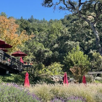 Matanzas Creek Winery - Wine Tasting Room Near Me - Santa Rosa, California Matanzas Creek Winery - Wine Tasting Room Near Me - Santa Rosa, California