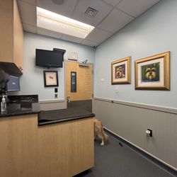 Bayshore Animal Clinic - Office exam room