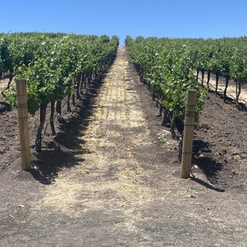 Opolo Vineyards - Wineries Near Me - Paso Robles, California Opolo Vineyards - Wineries Near Me - Paso Robles, California