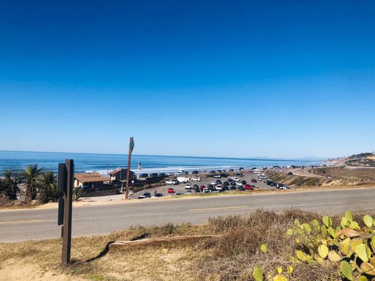 Torrey Pines State Natural Reserve by null