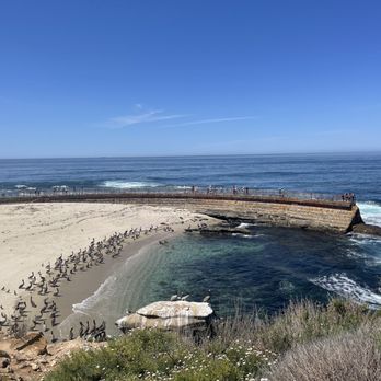 La Jolla Cove - Parks Near Me - La Jolla, California