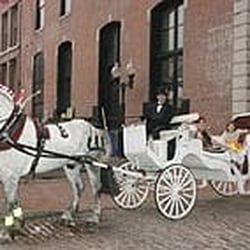 St Louis Carriage Company