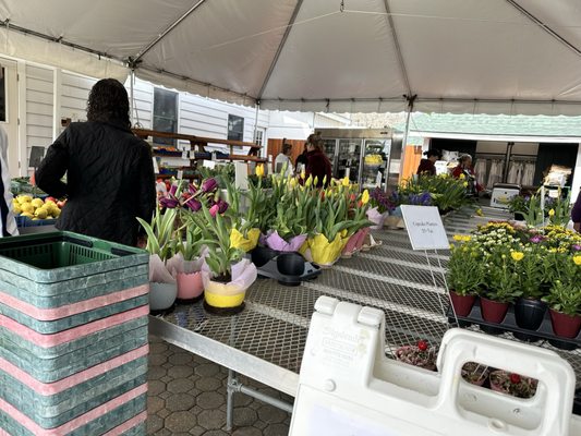 Briermere Farms by null