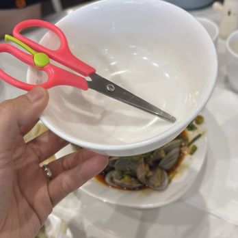 Square Noodles 九九烩面 - Noodles Near Me - Toronto, Ontario