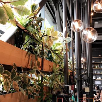 The Promontory - Plants line the wall with a wooden frame. - Bars Near Me - Chicago, Illinois The Promontory - Plants line the wall with a wooden frame. - Bars Near Me - Chicago, Illinois