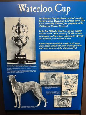 Greyhound Hall of Fame by null