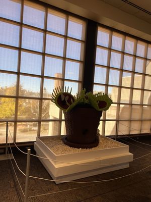 RMSC (Rochester Museum & Science Center) by null