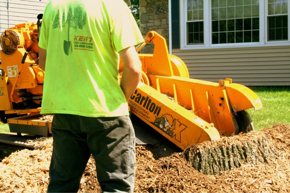 Kent Tree and Landscape - tree service in Jefferson, MA