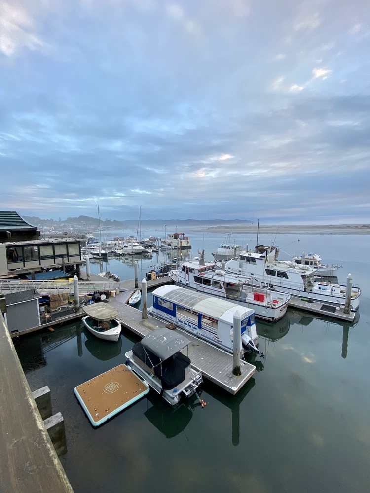 GRASSY BAR OYSTER COMPANY 63 Photos & 43 Reviews 1215 Embarcadero