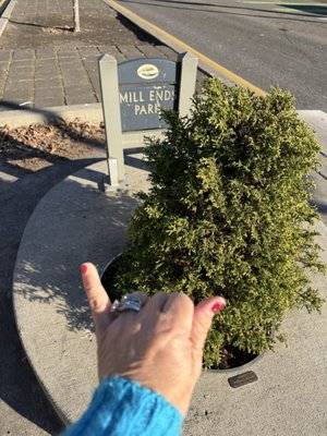 Mill Ends Park by null