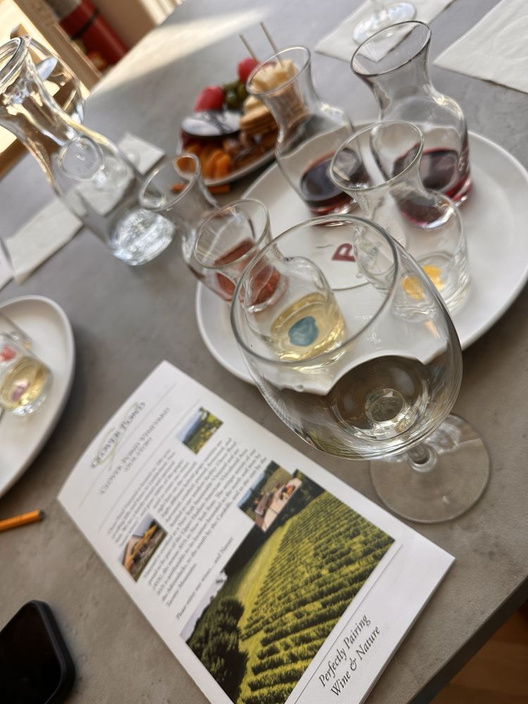 Clover Pond Vineyard Logo