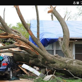 Just 4 Trees AZ - Don't be a victim of monsoon season damage. Do the P.M. on those trees before your home is next. - Tree Services Near Me
