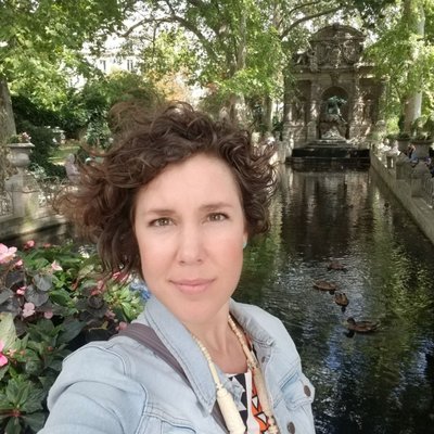 Medici Fountain by null