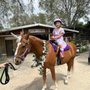Photo of Peter Weber Equestrian Center