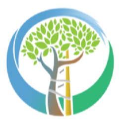 Seaview Orthopaedic & Medical Associates - Seaview Orthopedic - Barnegat Clinic