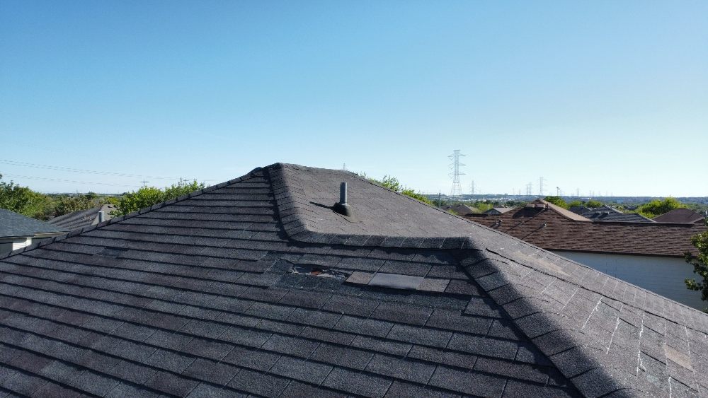 Slide of Mayhaw Fig Roofing