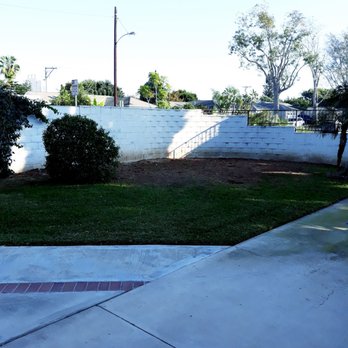 Environmental Green Tree Care - It looks great after they took it out! - Tree Services Near Me Environmental Green Tree Care - It looks great after they took it out! - Tree Services Near Me