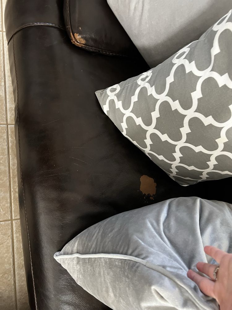 Fibrenew - upholstery in Mesa, AZ