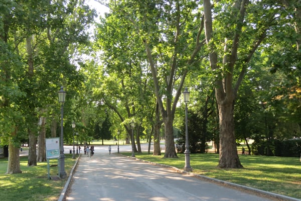 Parco Ducale by null