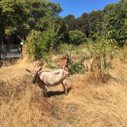 Werts Family Farm - Before