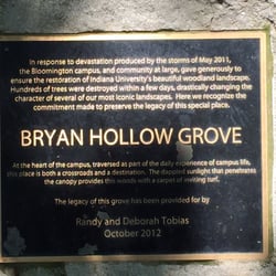 Bryan Hollow Grove