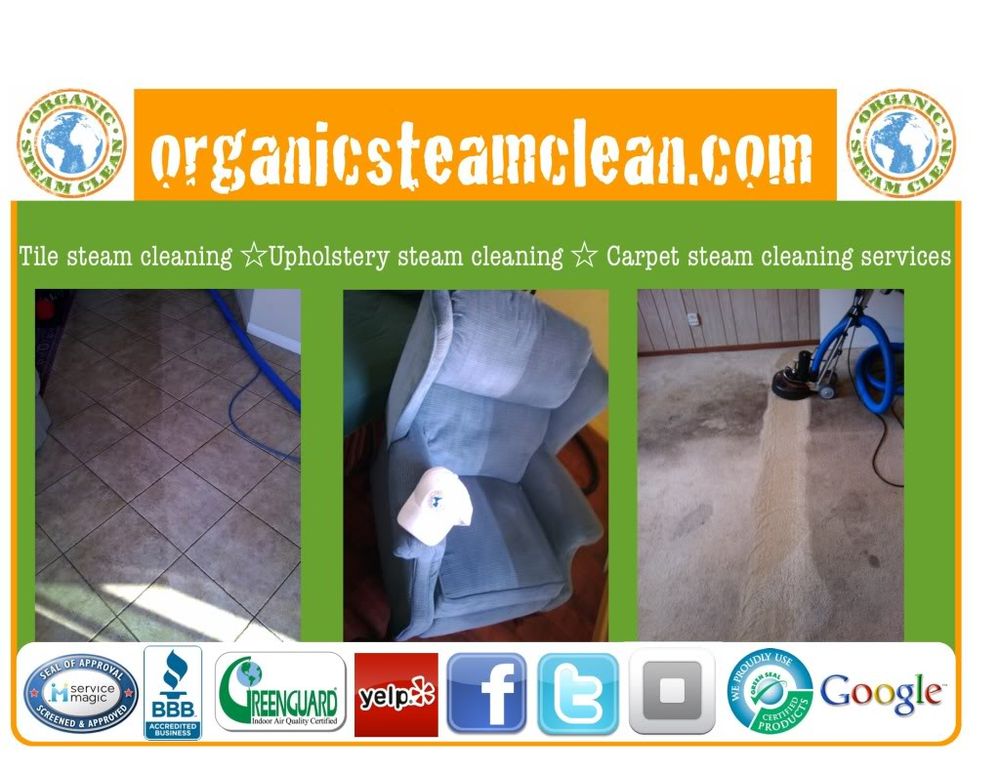ORGANIC STEAM CLEAN Updated August 2024 15 Photos & 11 Reviews