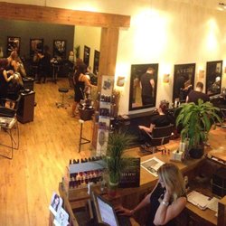 the Joshua Tree - The Salon