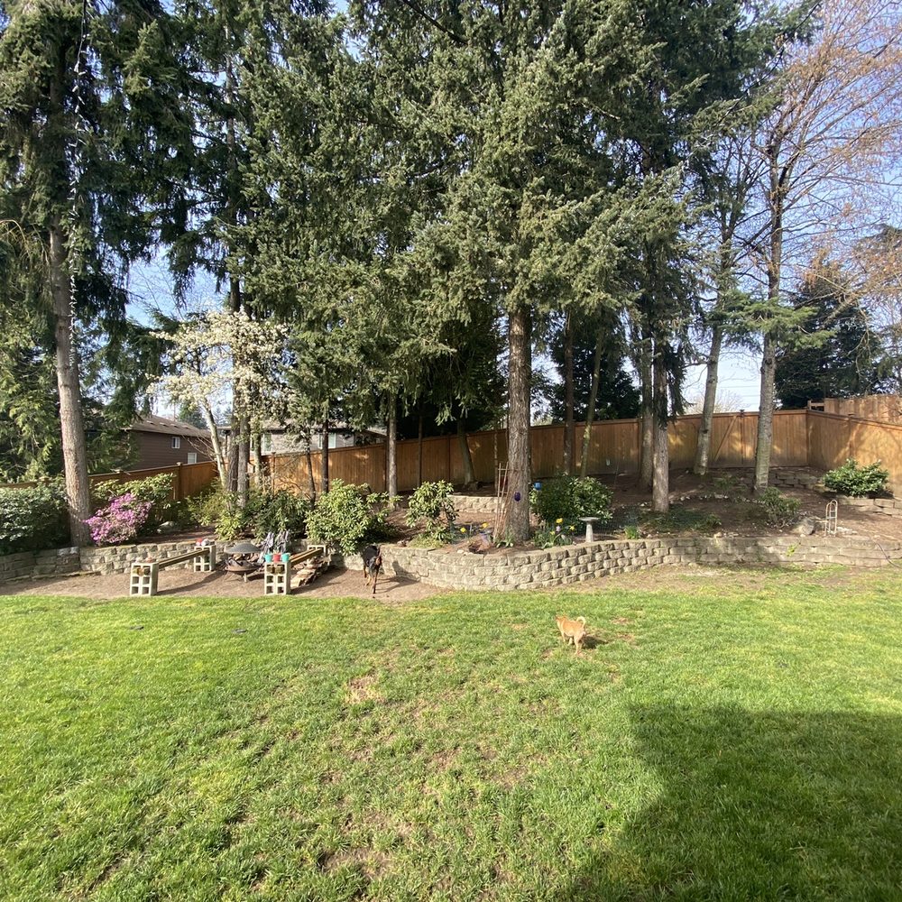 I'm so grateful to have had Spring Landscape do my Spring cleaning for the second year in a row. I'm so grateful to have had Spring Landscape do my Spring cleaning for the second year in a row.