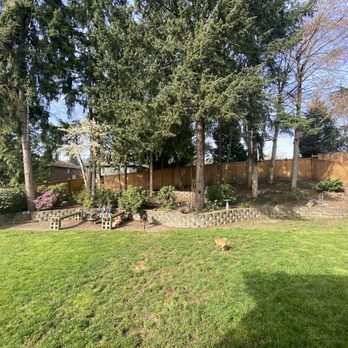Spring Landscape - I'm so grateful to have had Spring Landscape do my Spring cleaning for the second year in a row. - Irrigation Near Me