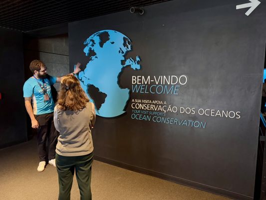 Oceanário de Lisboa by null