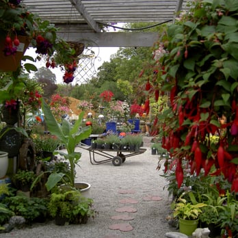 Los Osos Valley Nursery - I want to sit out here with a cup of espresso! - Nurseries & Gardening Near Me - Los Osos, California
