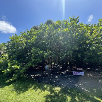 Oleta River State Park - Picnic area - Parks Near Me - North Miami Beach, Florida