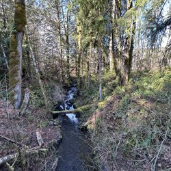 Darlin Creek Preserve