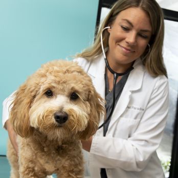 NewDay Veterinary Care Lakewood Ranch - Veterinarians Near Me - Bradenton, Florida
